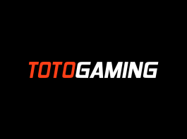 Реваз Чкуасели: «Totogaming разрабатывает инструменты, функции и кампании для предоставления лучшего опыта игры»