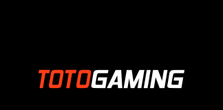 TotoGaming займется брендингом футболиста Давида Манояна