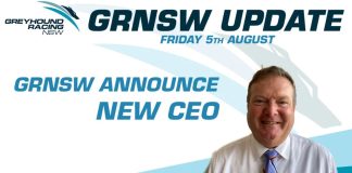 GRNSW назначил Роберта Маколея своим новым генеральным директором
