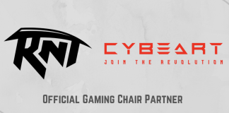 Revenant Esports вошла в партнерство с Cybeart