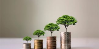 BetMGM радует инвесторов: Компания выходит на «путь к прибыльности» после успешного старта 2023 года