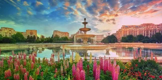 Румынские власти отозвали игорную лицензию у Betting Frenzy