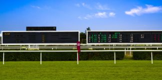 Новая инициатива от IHRB и BHA: борьба с допингом в конном спорте