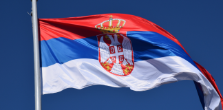 Swintt укрепляет позиции благодаря партнерству с казино Rizk