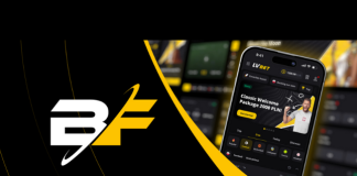 BF Group представляет инновационную платформу для операторов ставок и казино