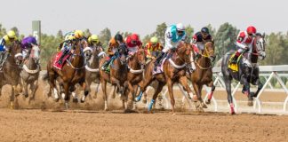 TPD усиливает своё присутствие на Ближнем Востоке благодаря соглашению с Bahrain Turf Club