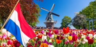 Парламент Нидерландов призывает Кюрасао ужесточить законодательство в сфере азартных игр