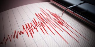 Реструктуризация в LiveScore Group: сокращение затронет более 100 рабочих мест
