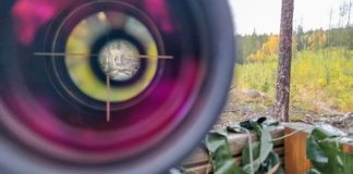 GCGRA усиливает меры против нелегальных операторов в ОАЭ