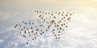 В Evolution отчитались об успехах в 2024 году и с оптимизмом смотрят в 2025-й