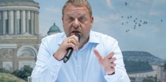 Золтан Гуллер возглавит игорную монополию Венгрии