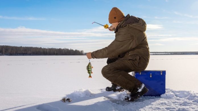 Evolution-takes-an-icy-plunge-with-latest-live-game-show-release