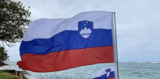 Greentube дебютирует в Словении через сотрудничество с Casino.si