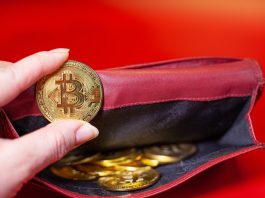 ReferOn внедряет новое платежное решение для работы с криптовалютами