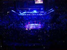 UFC и Adjarabet объявили о многолетнем партнерстве