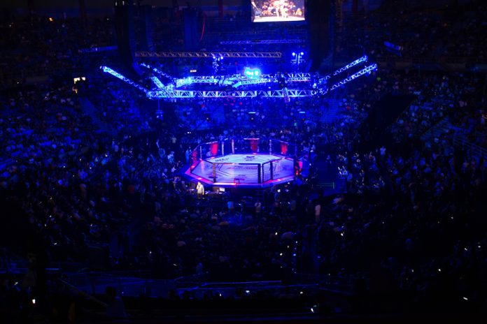 S„o,Paulo,,S„o,Paulo,,Brazil,,October,28,,2017.,Ufc,Fight