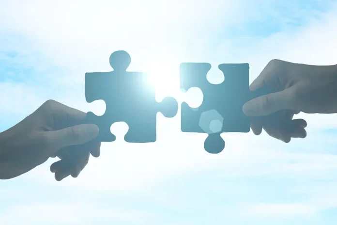 puzzle-piece