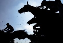 1xBet стала партнером исторического ирландского ипподрома Gowran Park