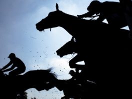 1xBet стала партнером исторического ирландского ипподрома Gowran Park
