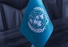 ООН призывает объединить усилия против нелегального игорного рынка в Юго-Восточной Азии