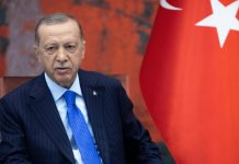 Вице-президент Турции: правительство Эрдогана переходит к новому этапу борьбы с нелегальным гемблингом